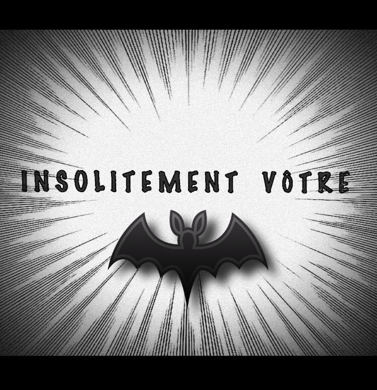 insolitementvotre-travelzik